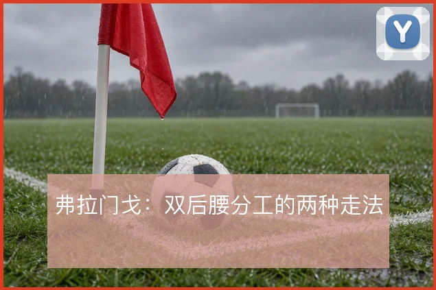 弗拉门戈:双后腰分工的两种走法